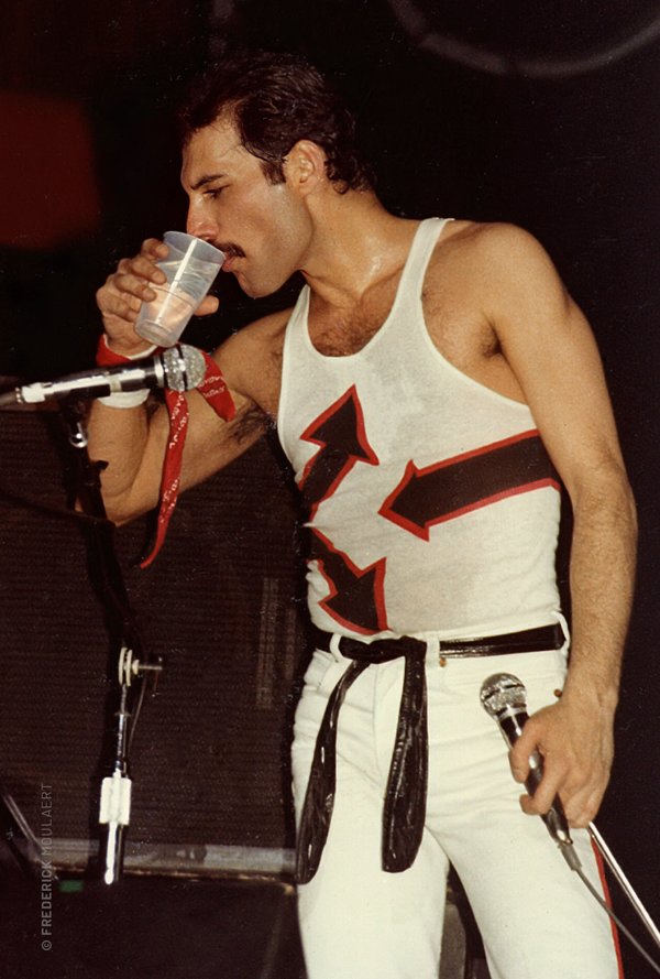 Freddie Mercury in Brussels - April 1982
