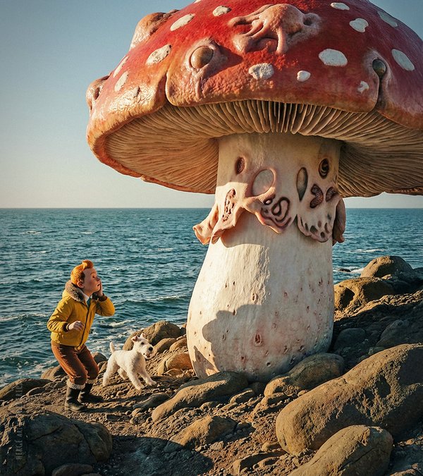 Tintin - The Shooting Star (1)